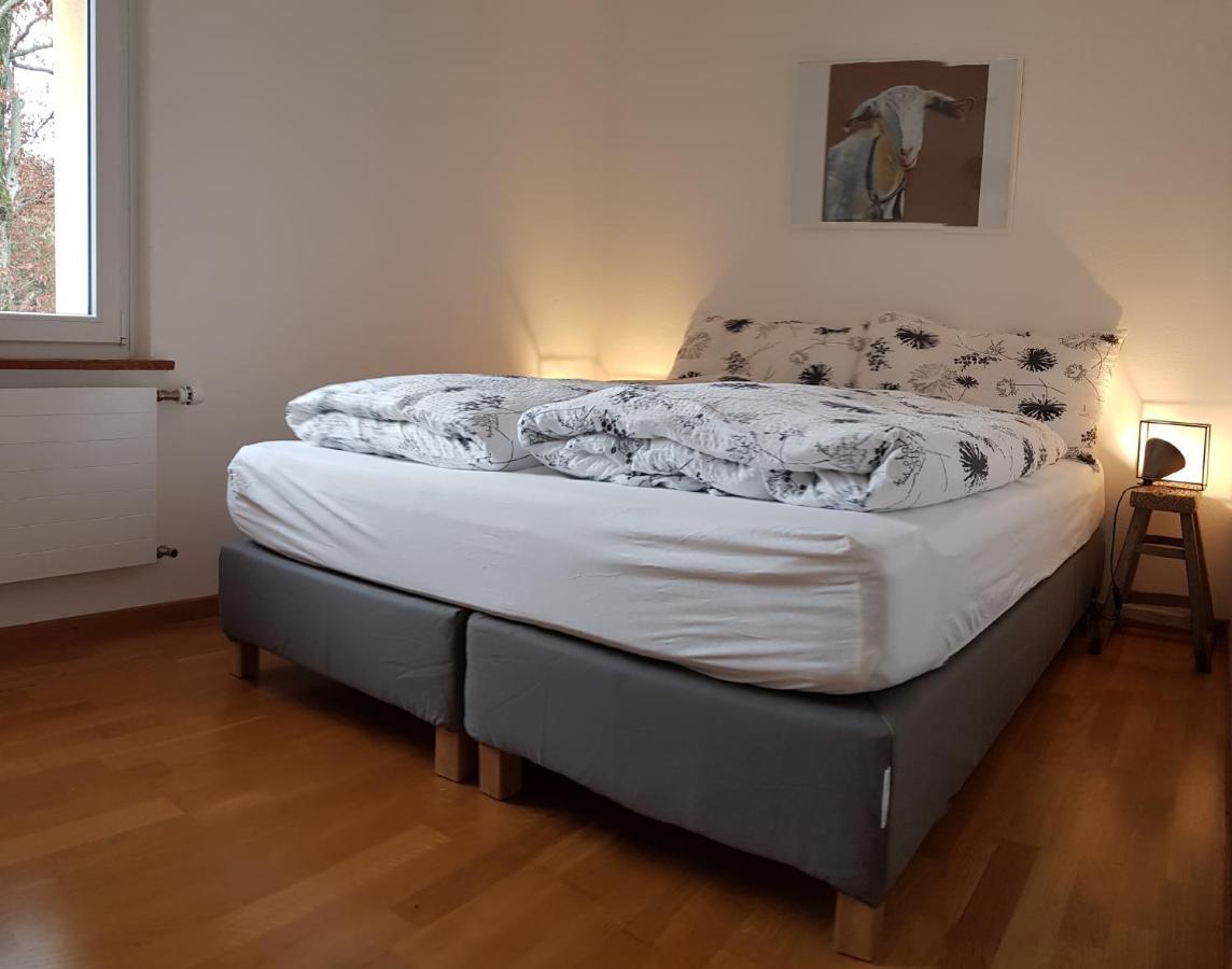 Interlaken City Apartments *